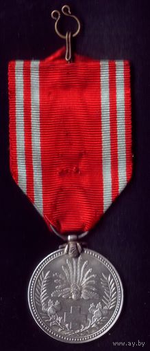 Япония Серебряная медаль члена общества Красного Креста