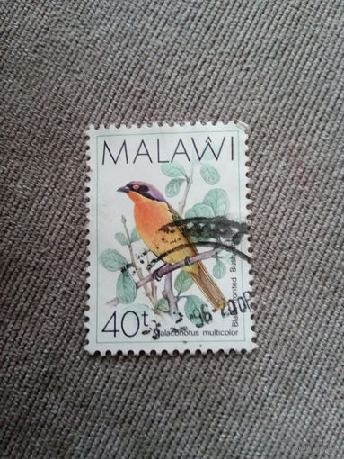 Малави 1996. Птицы