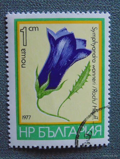 Болгария 1977 г. Цветы.