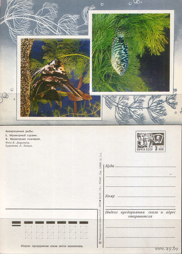 Почтовая карточка " Аквариумные рыбы"