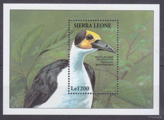 1994 Сьерра-Леоне 2179/B249 Птицы   MNH