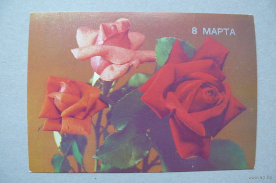 ДМПК, 06-05-1989; Круцко Б.(фото), 8 Марта; чистая.