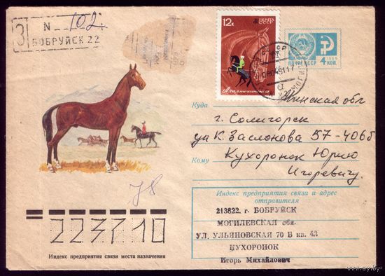 1977 год С.Куприянов Лошадь