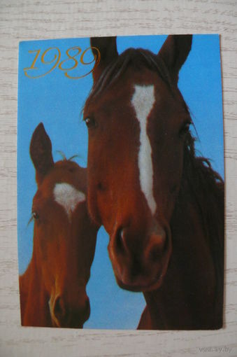 Календарик, 1989, Лошади.