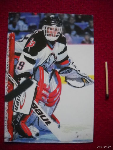 Карточка НХЛ "NHl" Dominik Hasek. Buffalo Sabres. Panini.