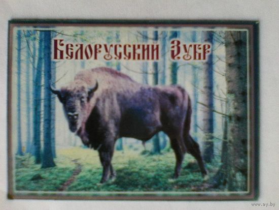 Магнит - "Белорусский Зубр"