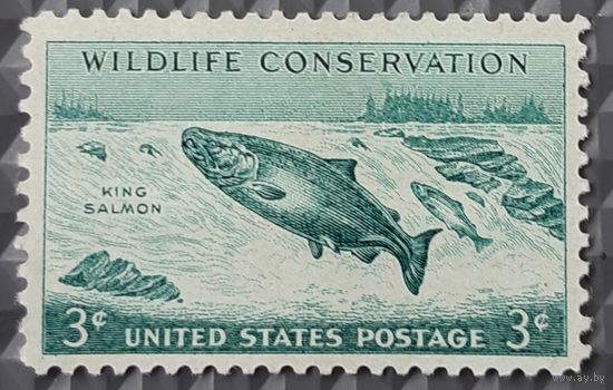 1956 Сохранение дикой природы - Дикая индейка, Pronghorn антилопы и король лосося - США