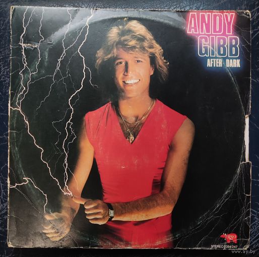 Andy Gibb	After Dark