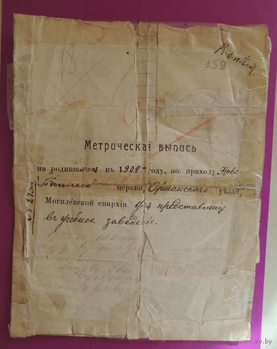 Свидетельство о рождении, запись в 1904 г., Могилевская епархия