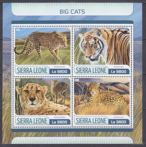 2017 Сьерра-Леоне 8595-8598KL Хищные кошки 11,00 евро