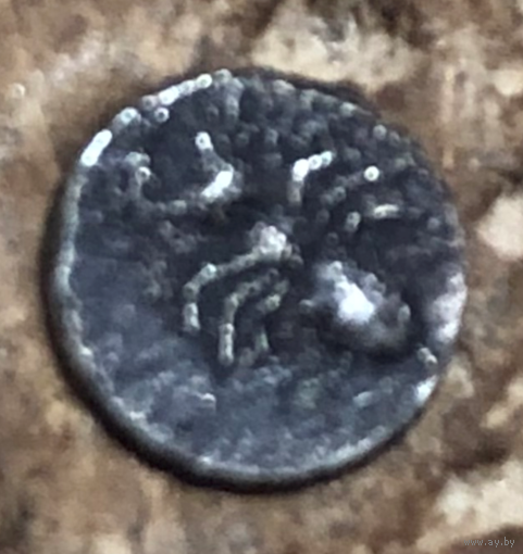 Храм Аполлона. 460 - 450 год до н.э. Серебро Тетартеморий, 0,11 гр.5,9 мм