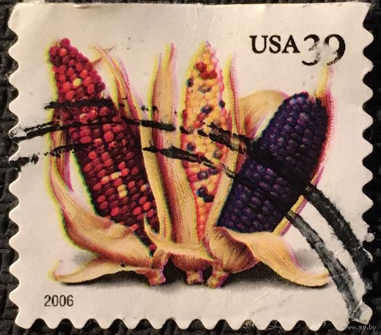 ЦІКАВІЦЬ АБМЕН! 2006, кукуруза, 39 цэнтаў