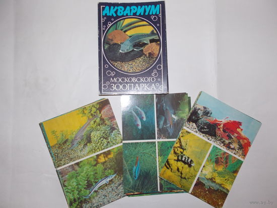 Набор открыток СССР, Аквариум Московского зоопарка