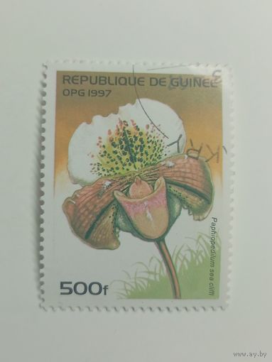Гвинея 1997. Орхидеи