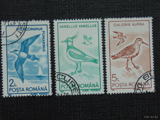 Румыния 1991г. Птицы.