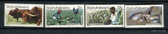 Бопутатсивана (Южная Африка) - 1979 - Сельское хозяйство - [Mi. 51-54] - полная серия - 4 марки. MNH.