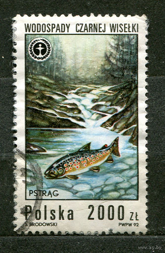 Фауна. Рыба. Польша. 1992