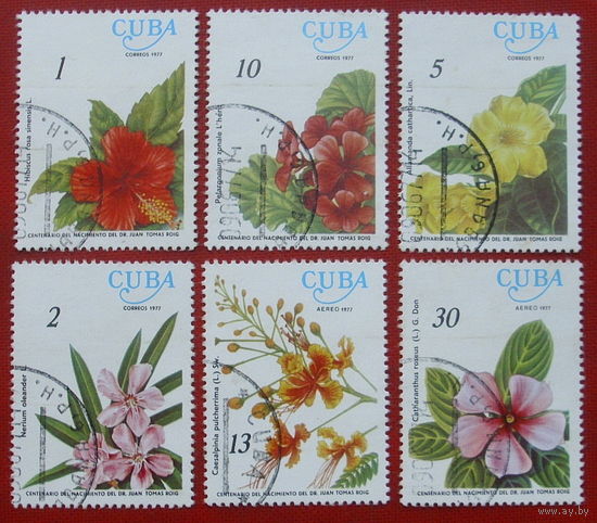 Куба. Цветы. ( 6 марок ) 1977 года. 4-20.