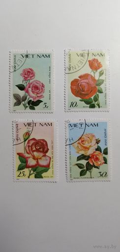 Вьетнам 1988. Розы