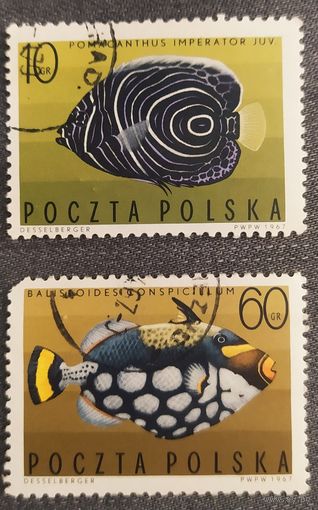 Польша 1967,  рыбы