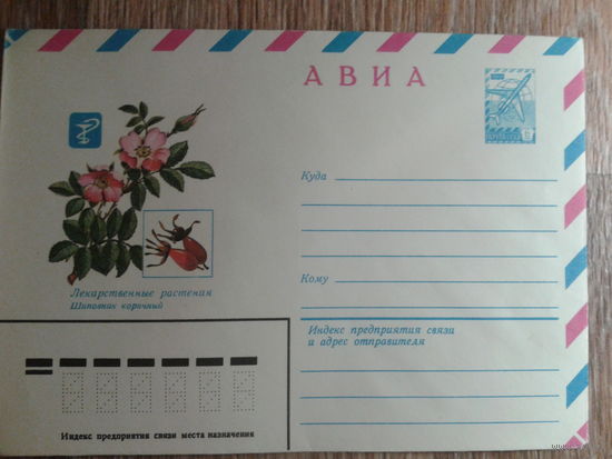 1981 хмк авиа Шиповник