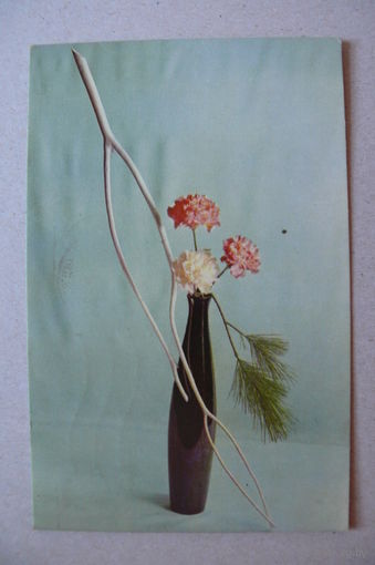 Агнатович Е., Композиция из цветов, 1969, подписана.