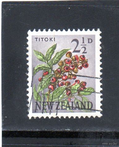 Новая Зеландия.Ми-395. Titoki / Новая Зеландия, Дуб (Alectryon excelsus). 1961.