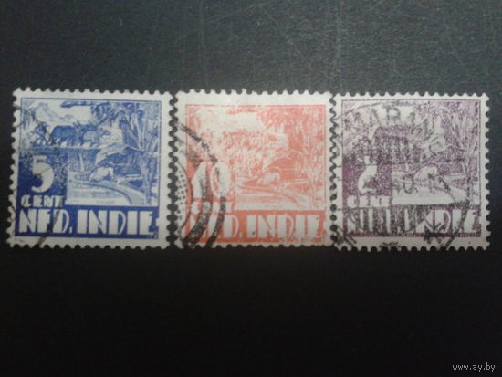 Нидерландская Индия 1934 Колония стандарт