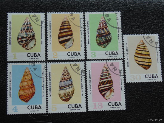 Куба 1973 г. Ракушки.