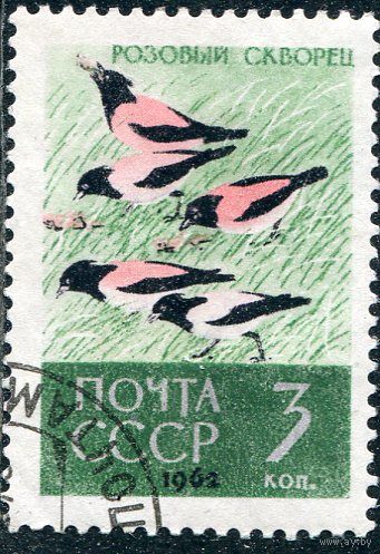 СССР 1962.. Розовые скворцы
