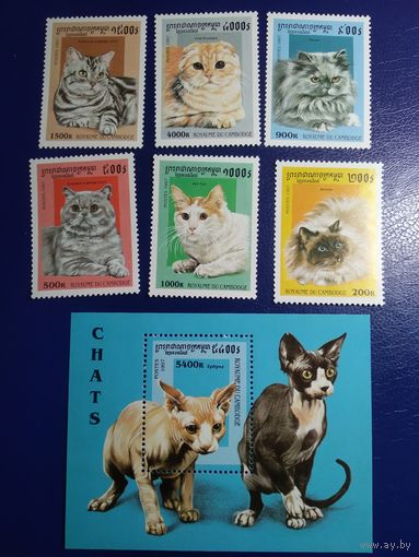 Камбоджа 1997г. Кошки.