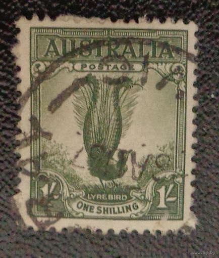 Птица лира. Австралия. Дата выпуска: 1932