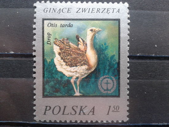 Польша, 1977, Птица