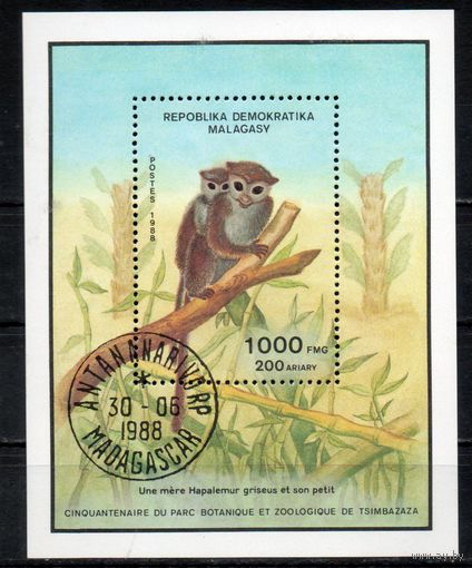 Обезьяны Зоопарк Мадагаскар 1988 год 1 блок