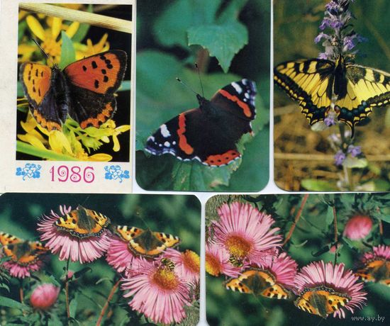 Календарики Бабочки 1991