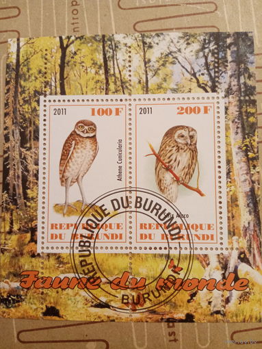 Бурунди 2011. Фауна. Птицы. Совы