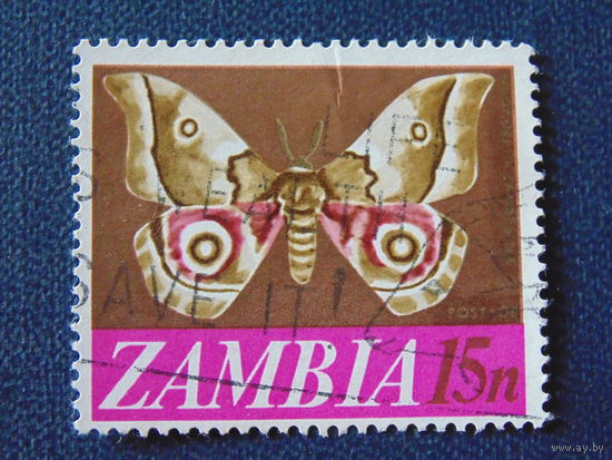 Замбия. Бабочка.