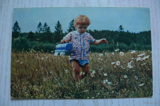 Чиликин О., Полюшко-поле; 1970, чистая (дети).