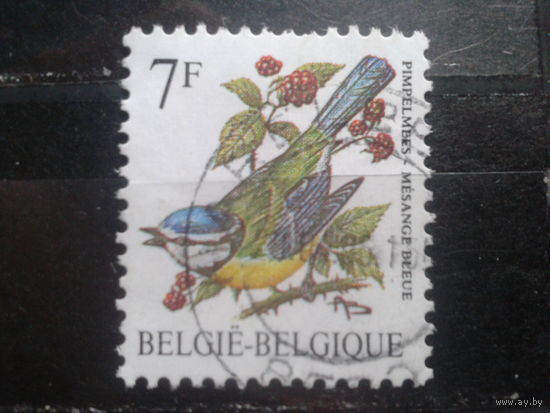 Бельгия 1987 Стандарт, птица 7 франков